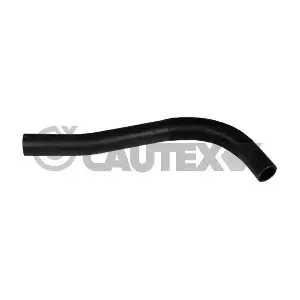 754191 CAUTEX