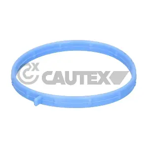 777026 CAUTEX