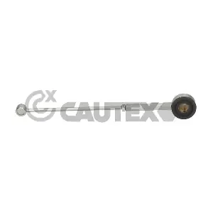 031109 CAUTEX