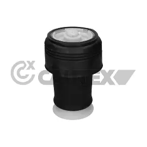 753230 CAUTEX