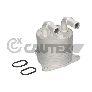 776856 CAUTEX
