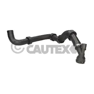 777063 CAUTEX