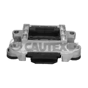 081072 CAUTEX