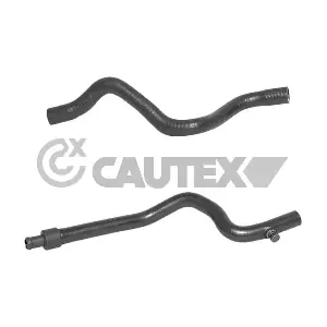 026798 CAUTEX