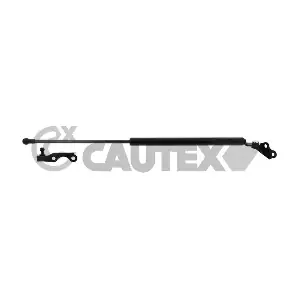 773264 CAUTEX