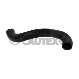 754505 CAUTEX