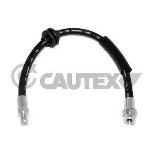 756131 CAUTEX