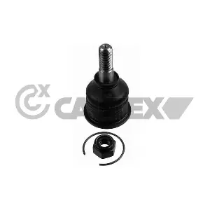 755008 CAUTEX