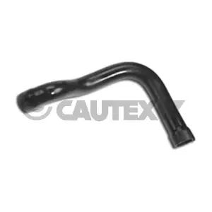 031281 CAUTEX