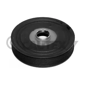 020962 CAUTEX
