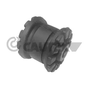 460041 CAUTEX