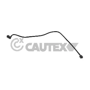 771476 CAUTEX