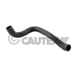 206007 CAUTEX