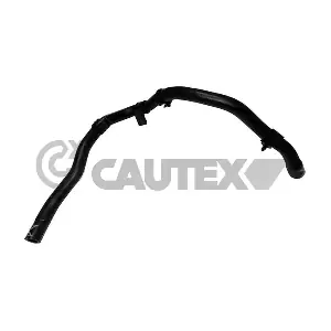 752679 CAUTEX