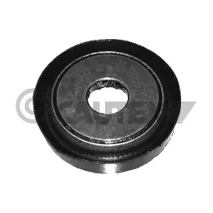 080158 CAUTEX