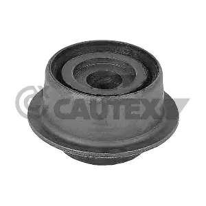 031368 CAUTEX