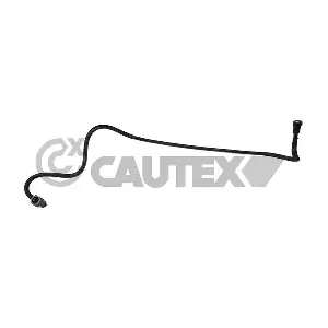 771354 CAUTEX