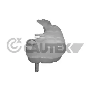 481075 CAUTEX