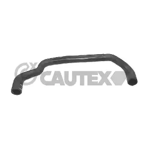 031179 CAUTEX
