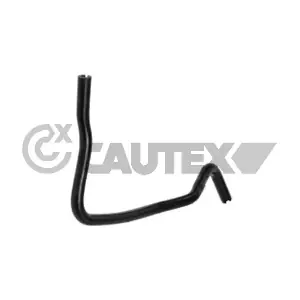 086188 CAUTEX