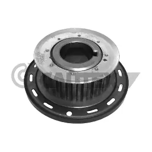 CAUTEX 031720