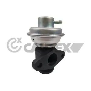 770109 CAUTEX