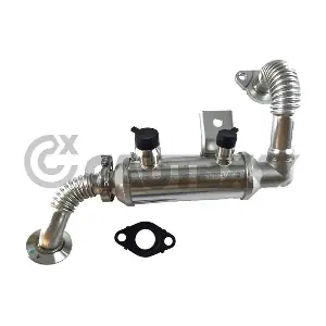 CAUTEX 772486 Радіатор, система рециркуляції ВГ
