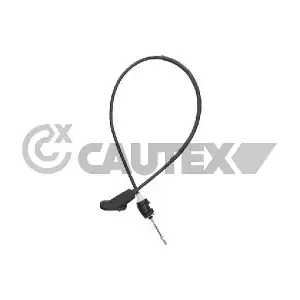 038437 CAUTEX
