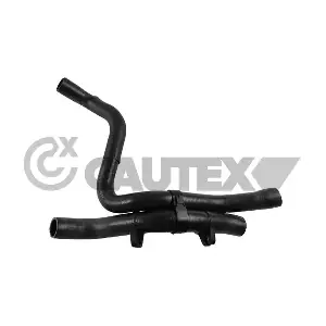769938 CAUTEX