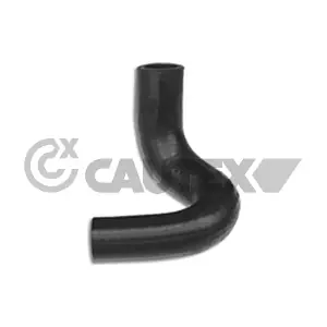 036479 CAUTEX