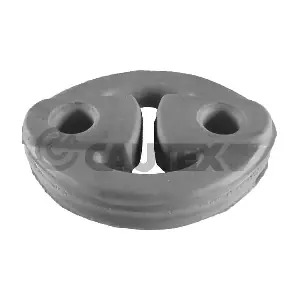 CAUTEX 080610
