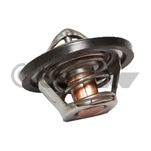 CAUTEX 770216