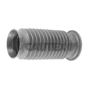 760101 CAUTEX