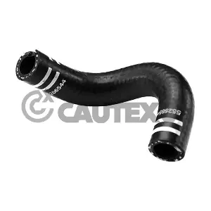 752990 CAUTEX