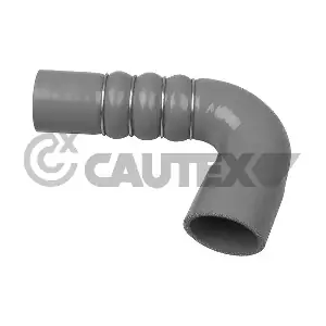 771263 CAUTEX