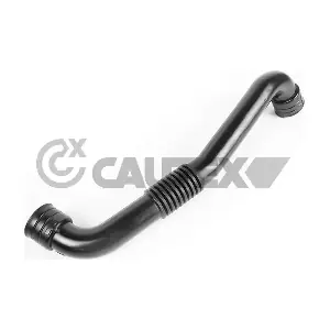 771873 CAUTEX