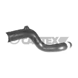 026320 CAUTEX