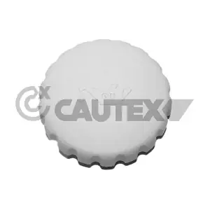CAUTEX 481076