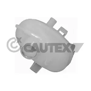 481063 CAUTEX