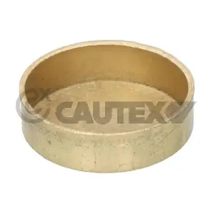 950110 CAUTEX