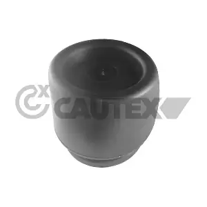 010222 CAUTEX