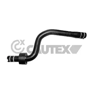 036737 CAUTEX