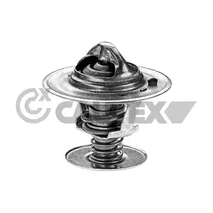 774591 CAUTEX