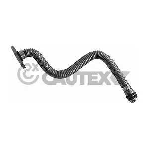 769585 CAUTEX