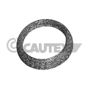 954199 CAUTEX