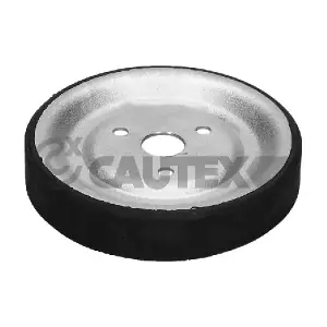 771581 CAUTEX