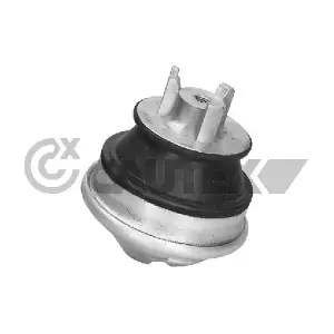 180196 CAUTEX