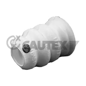 031729 CAUTEX