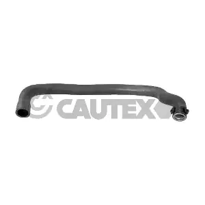 031137 CAUTEX