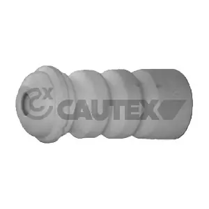 461200 CAUTEX